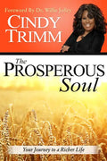 The Prosperous Soul: Your Journey to a Richer Life - Paperback