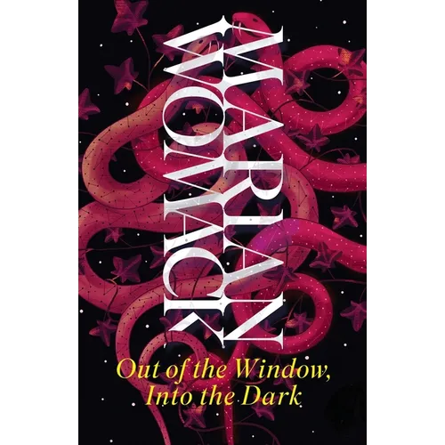 Out of the Window, Into the Dark - Paperback