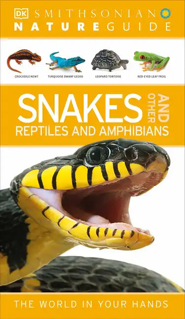 Nature Guide: Snakes and Other Reptiles and Amphibians: The World in Your Hands - Paperback