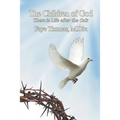 The Children of God: There is Life After the Cult - Paperback