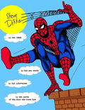 STEVE DITKO IN THE 1960s: In His Own Words, In His Interviews, In the Words of the Fans Who Knew Him - Paperback