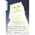 How do I care for a Persian cat's fur?: Find out more about your pet - Paperback