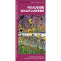 Roadside Wildflowers: An Introduction to Familiar North American Species