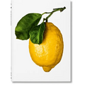 The Gourmand's Lemon. a Collection of Stories and Recipes - Hardcover
