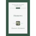 Hebrews: An Introduction and Commentary Volume 15 - Paperback