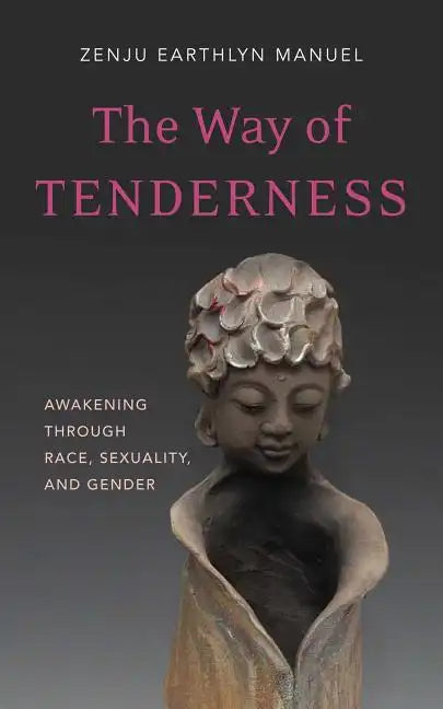 The Way of Tenderness: Awakening Through Race, Sexuality, and Gender - Paperback