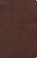 KJV Single-Column Personal Size Bible, Brown Leathertouch - Imitation Leather