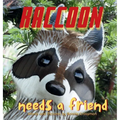 Raccoon Needs a Friend: A unique and beautiful children's picture book about friendship and being brave when you are shy - Hardcover