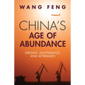 China's Age of Abundance: Origins, Ascendance, and Aftermath - Paperback