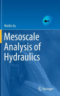 Mesoscale Analysis of Hydraulics - Hardcover