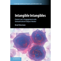 Intangible Intangibles: Patent Law's Engagement with Dematerialised Subject Matter - Paperback