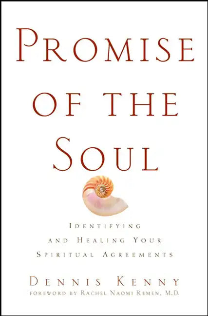 Promise of the Soul: Identifying and Healing Your Spiritual Agreements - Hardcover