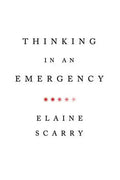 Thinking in an Emergency - Paperback