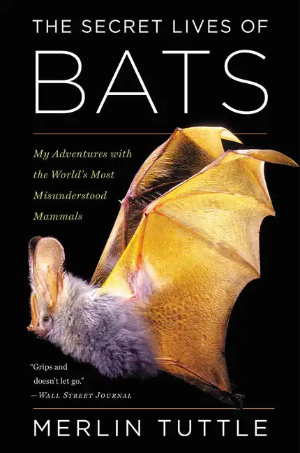 The Secret Lives of Bats: My Adventures with the World's Most Misunderstood Mammals - Paperback