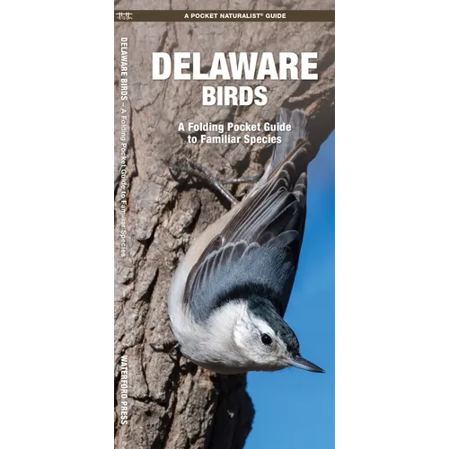 Delaware Birds: A Folding Pocket Guide to Familiar Species - Paperback