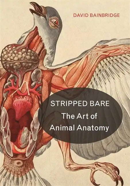 Stripped Bare: The Art of Animal Anatomy - Hardcover