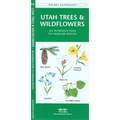 Oregon Trees & Wildflowers: A Folding Pocket Guide to Familiar Plants