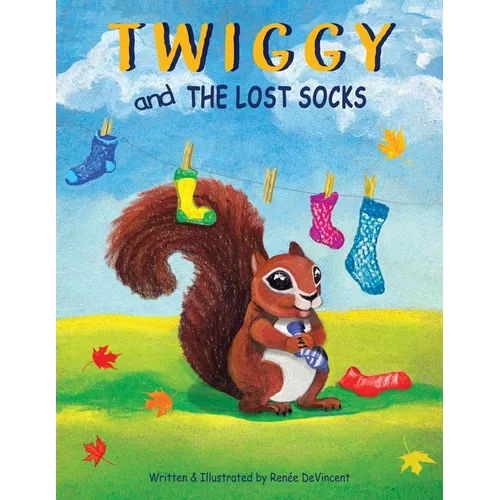 Twiggy and the Lost Socks - Paperback