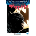 Batman Vol. 1: I Am Gotham (2024 Edition) - Paperback