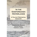 In the Godforsaken Hinterlands: A Tale of Provincial Hungary - Paperback