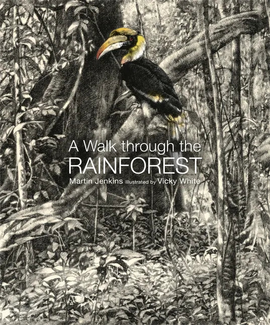 A Walk Through the Rain Forest - Hardcover
