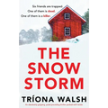 The Snowstorm: An absolutely gripping, pulse-pounding thriller packed with twists - Paperback