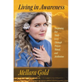 Living in Awareness: Deepening Our Daily Lives Through Prayer, Ritual, and Meditation - Paperback