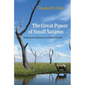 The Great Power of Small Nations: Indigenous Diplomacy in the Gulf South - Paperback