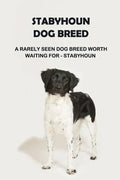 Stabyhoun Dog Breed: A Rarely Seen Dog Breed Worth Waiting for - Stabyhoun: Stabyhoun Dog Breed Information, Photos, Traits and Facts - Paperback