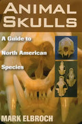 Animal Skulls: A Guide to North American Species - Paperback