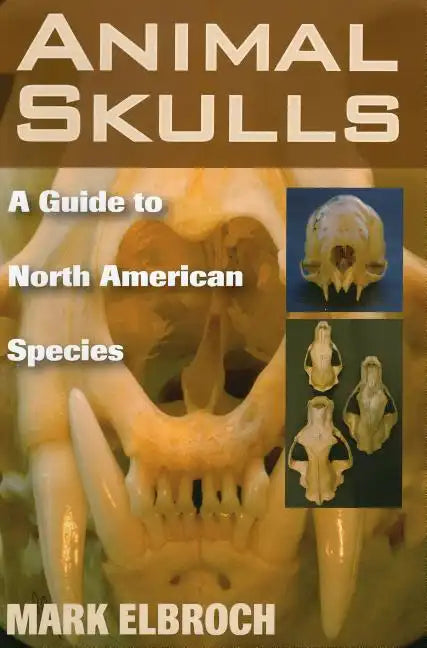 Animal Skulls: A Guide to North American Species - Paperback