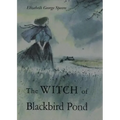 The Witch of Blackbird Pond: A Newbery Award Winner - Hardcover