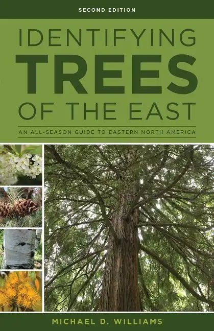 Identifying Trees of the East: An All-Season Guide to Eastern North America - Paperback