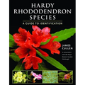 Hardy Rhododendron Species: A Guide to Identification - Paperback