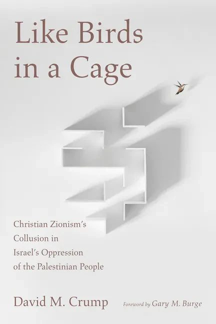Like Birds in a Cage: Christian Zionism's Collusion in Israel's Oppression of the Palestinian People - Paperback
