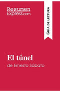 El túnel de Ernesto Sábato (Guía de lectura): Resumen y análisis completo - Paperback