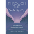Through the Waters - Paperback