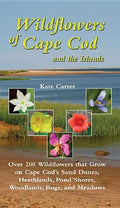 Wildflowers of Cape Cod and the Islands: Over 200 Wildflowers That Grow on Cape Cod's Sand Dunes, Heathlands, Pond Shores, Woodlands, Bogs and Meadows - Paperback