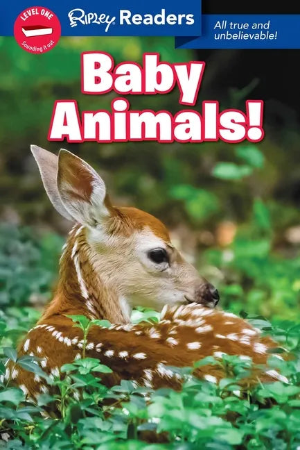Ripley Readers Level1 Baby Animals - Paperback