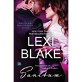 Sanctum: A Masters and Mercenaries Novella - Paperback