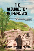 The Resurrection of the Promise - Paperback