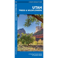 Utah Trees & Wildflowers: A Folding Pocket Guide to Familiar Plants - Paperback