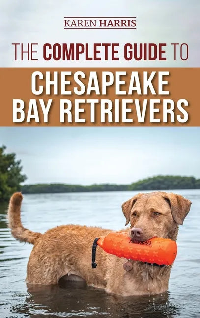 The Complete Guide to Chesapeake Bay Retrievers: Training, Socializing, Feeding, Exercising, Caring for, and Loving Your New Chessie Puppy - Hardcover