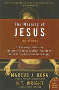 The Meaning of Jesus - Paperback