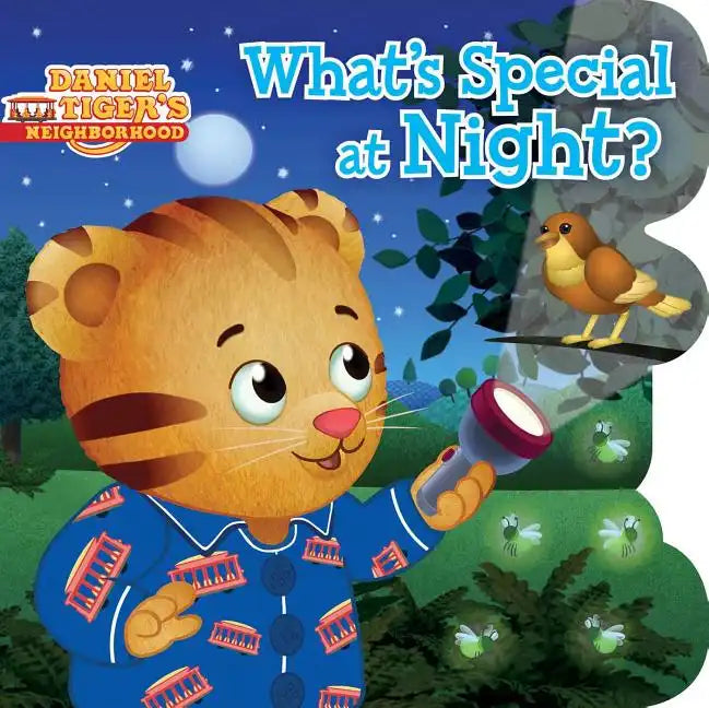 What's Special at Night? - Board Book