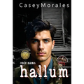 Hallum: A romantic mm historical spy thriller - Hardcover