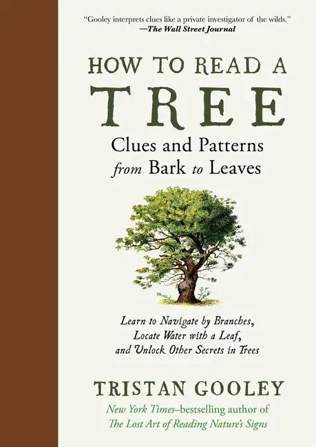 How to Read a Tree: Clues and Patterns from Bark to Leaves - Hardcover