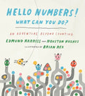 Hello Numbers! What Can You Do?: An Adventure Beyond Counting - Hardcover