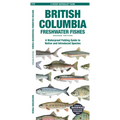 British Columbia Freshwater Fishes - Paperback