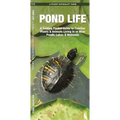 Pond Life: An Introduction to Familiar Plants and Animals Living in or Near Ponds, Lakes and Wetlands - Paperback